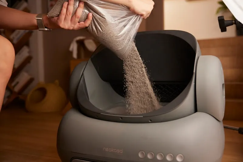 Kattenbakvulling wordt bijgevuld in een schone kattenbak