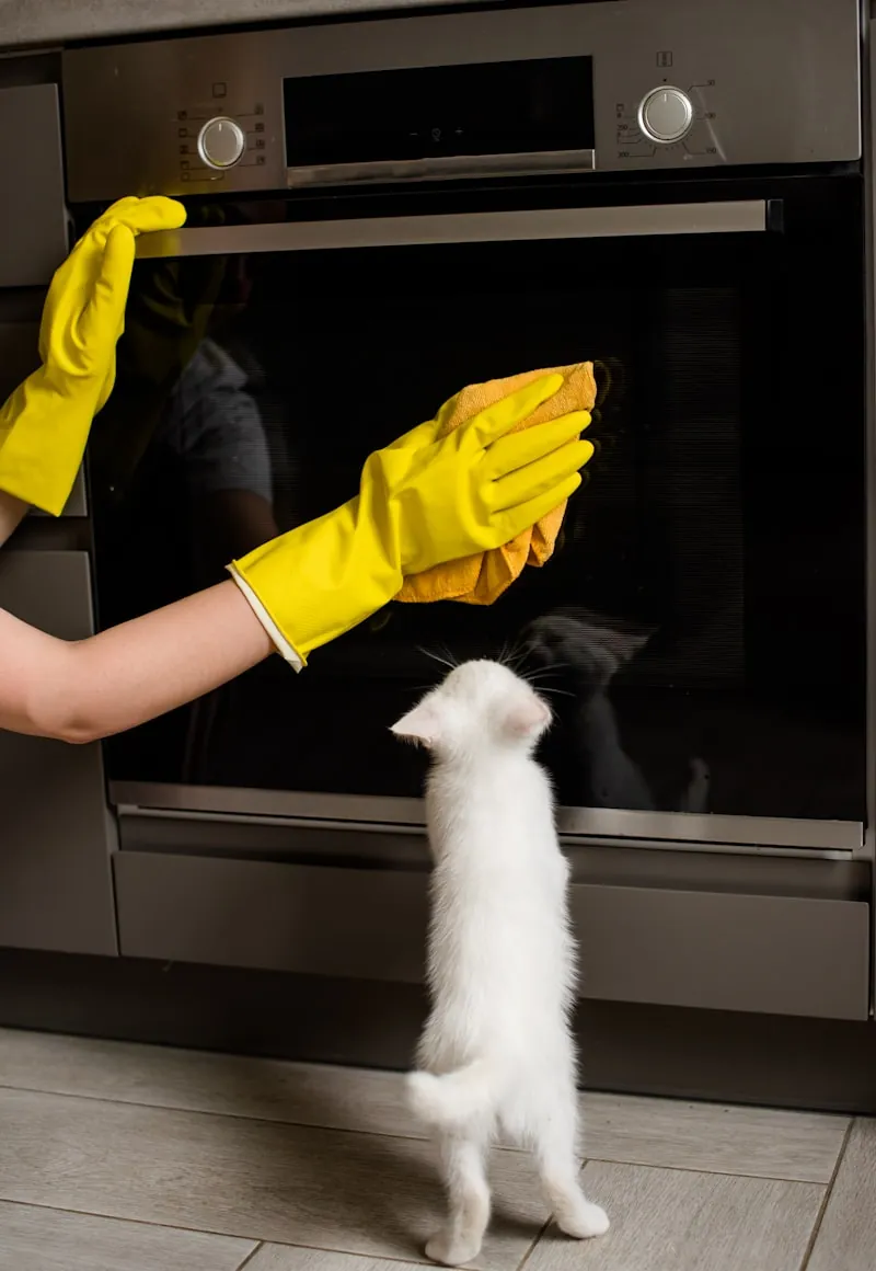 Kat kijkt toe terwijl eigenaar de kattenbak schoonmaakt