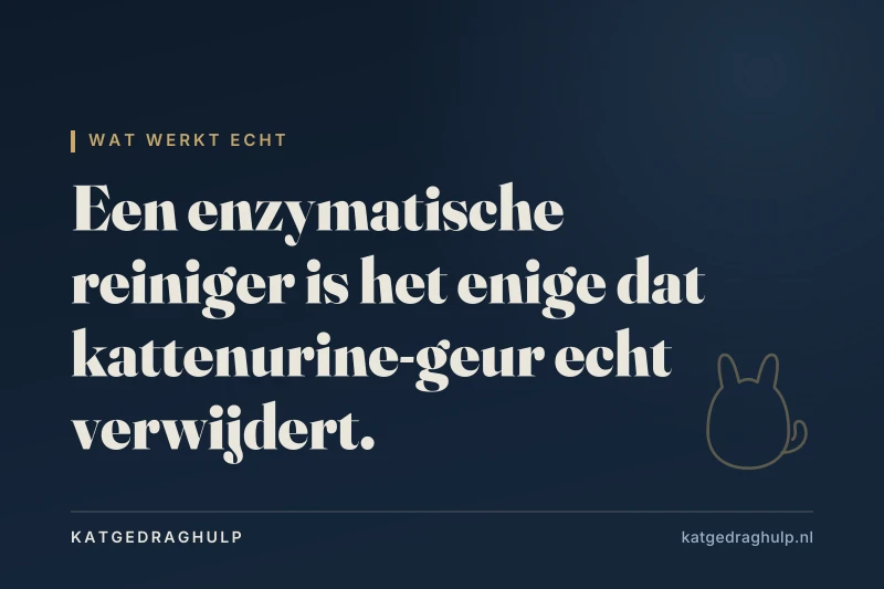 Tekstkaart van KatGedragHulp: Beste geurverwijderaar voor kattenurine