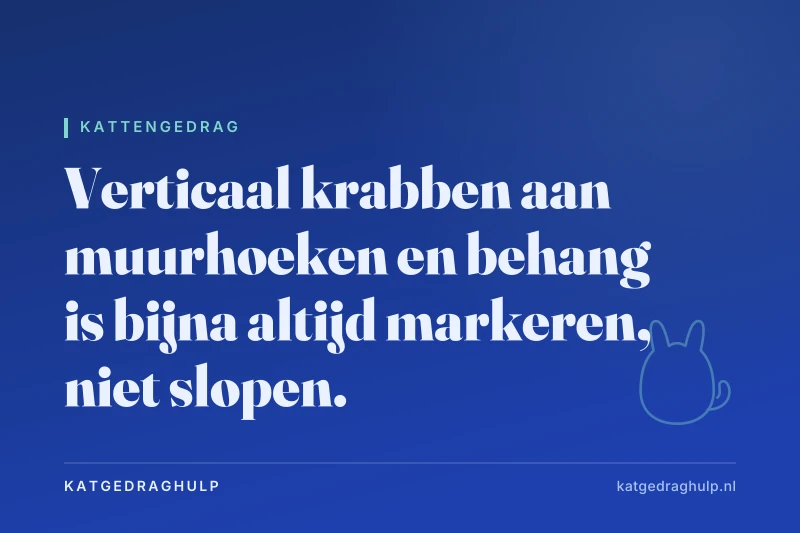 Tekstkaart van KatGedragHulp: Kat krabt aan behang en muurhoeken: zo stop je het markeren