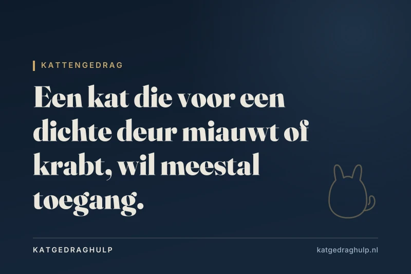Tekstkaart van KatGedragHulp: Kat miauwt en krabt aan een dichte deur: zo los je het op