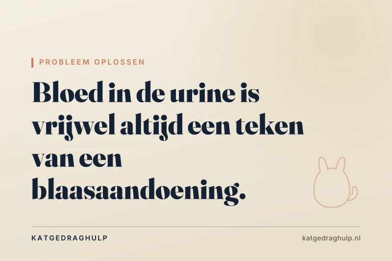 Tekstkaart van KatGedragHulp: Kat plast bloed: wanneer spoed en wat daarna?