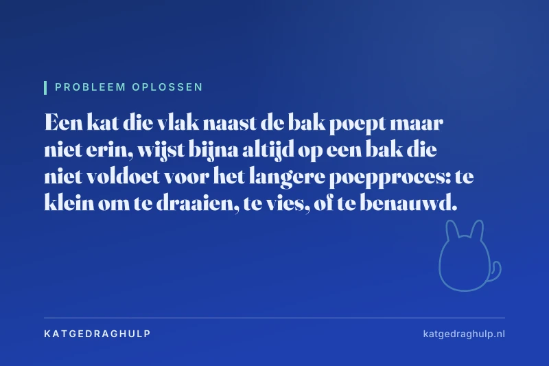 Tekstkaart van KatGedragHulp: Kat poept naast de kattenbak: meestal de bak, soms de rug