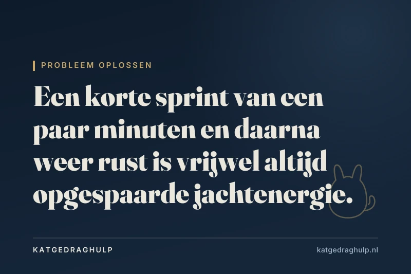 Tekstkaart van KatGedragHulp: Kat rent 's nachts door het huis: normaal of reden tot zorg?