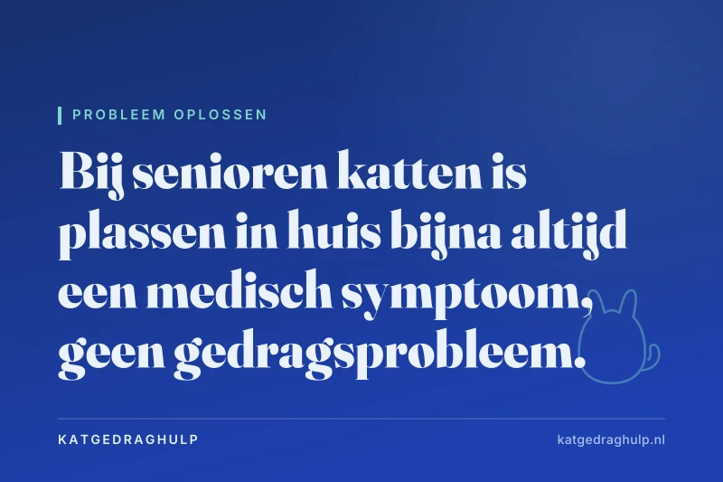 Tekstkaart van KatGedragHulp: Oudere kat plast in huis: meestal medisch