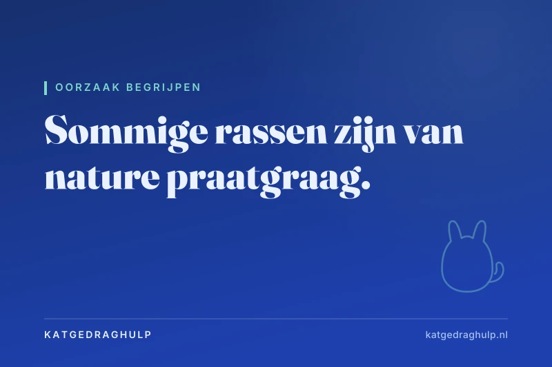 Tekstkaart van KatGedragHulp: Praatgrage kattenrassen: welke katten miauwen het meest?