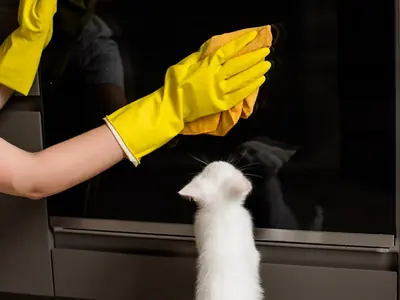 Kat gebruikt kattenbak niet meer na schoonmaken: te schoon bestaat